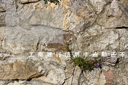 工商银行信用卡逾期还不了