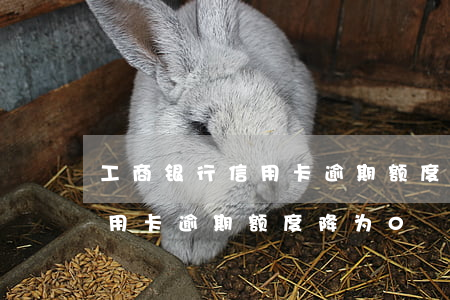 工商银行信用卡逾期额度降为0 工商银行信用卡逾期额度降为0