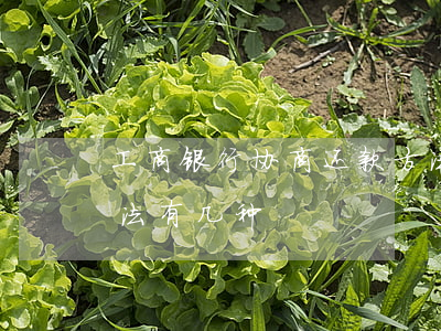 工商银行协商还款方法(工商银行协商还款方法有几种)