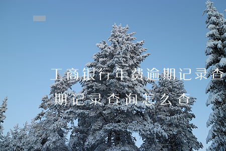 工商银行年费逾期记录查询(工商银行年费逾期记录查询怎么查)