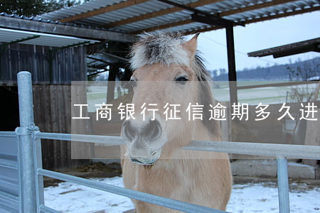 工商银行征信逾期多久进黑名单-