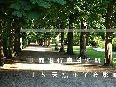 工商银行房贷逾期10次(工商银行房贷逾期15天忘还了会影响信用吗)