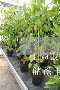 工商银行最近锁卡严重（工行信用卡逾期半年储蓄卡被锁卡）