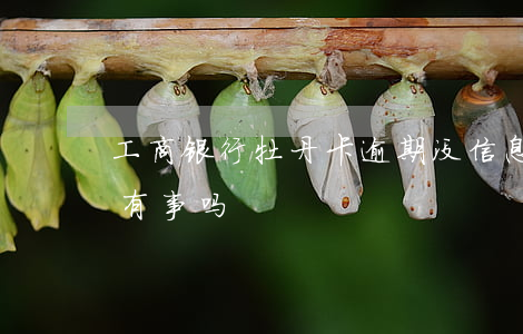 工商银行牡丹卡逾期没信息(工商卡逾期一天有事吗)