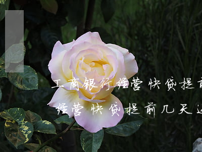 工商银行经营快贷提前几天还款-工商银行经营快贷提前几天还款合适