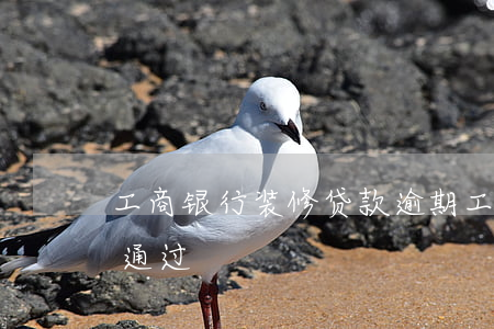 工商银行装修贷款逾期(工商银行装修贷初审通过)