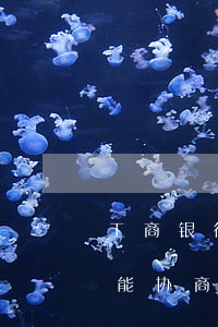 工商银行逾期15万协商还款上海(工商逾期能协商吗)