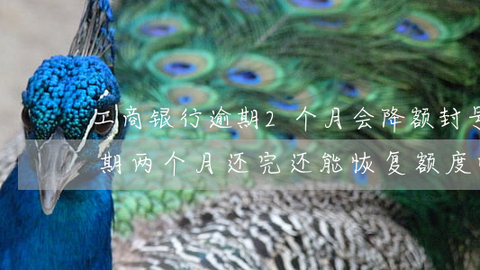 工商银行逾期2个月会降额封号么-工行逾期两个月还完还能恢复额度吗