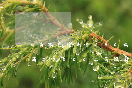 工商银行逾期5000收到信息被起诉了要还20000（工商银行逾期5万起诉了）