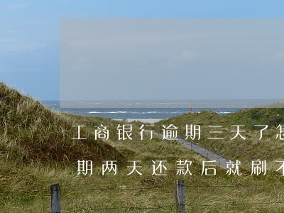 工商银行逾期三天了怎么还款-工商银行逾期两天还款后就刷不出来了
