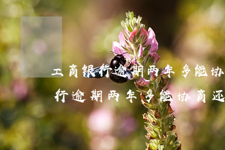 工商银行逾期两年多能协商还款吗-工商银行逾期两年多能协商还款吗怎么办