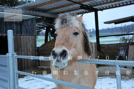 工商银行逾期了2021减免政策-工商银行逾期后怎么才可以免除违约金
