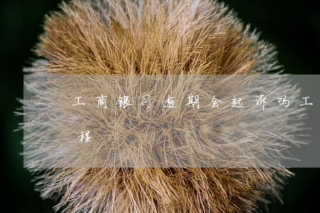 工商银行逾期会起诉吗(工商银行逾期起诉流程)