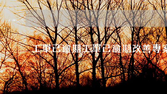 工單已逾期(工單已逾期改善專案)
