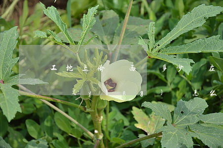 工地上偷東西罰多少錢(在工地上偷東西法律應(yīng)該怎么處理)