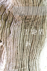 工地借钱不还怎么起诉(工地借钱不还怎么起诉)