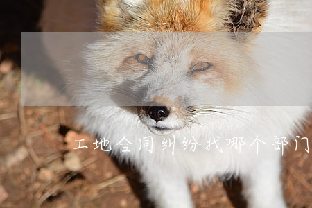 工地合同纠纷找哪个部门管