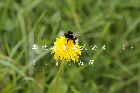 工地宿舍工人突然發(fā)病死亡，應(yīng)如何賠償