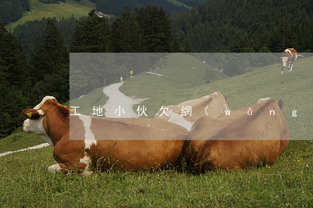工地小伙欠網(wǎng)貸