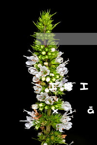 工地工傷保險(xiǎn)(工地工傷保險(xiǎn)公司賠償百分之多少)