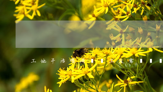 工地干活喝酒誤傷工友需賠償嗎