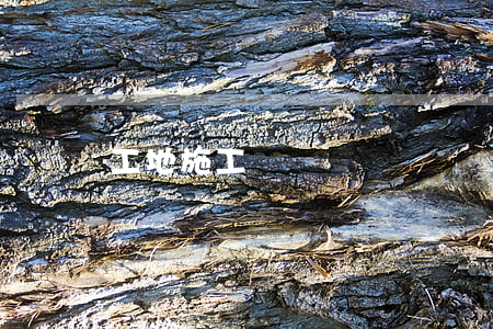 工地施工員