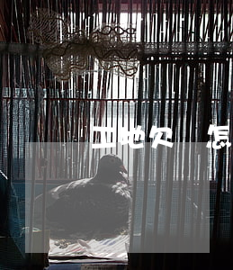 工地欠條怎么打