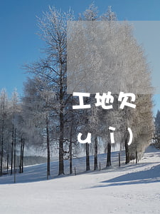 工地欠錢怎么打官司(工地欠錢打官司會(huì)贏嗎)