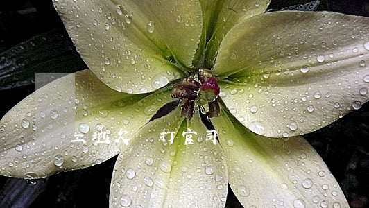 工地欠錢打官司