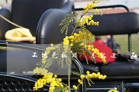 工地老板欠錢怎么追討(工地欠錢怎么辦)
