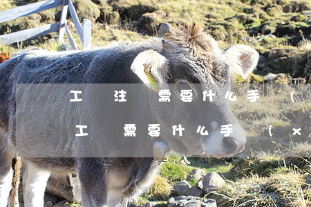 工廠注冊需要什么手續(xù)(注冊一個加工廠需要什么手續(xù))