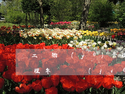 工廠物業(yè)管理(工廠物業(yè)管理年終總結(jié))