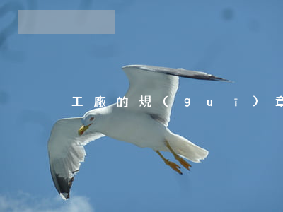 工廠的規(guī)章制度