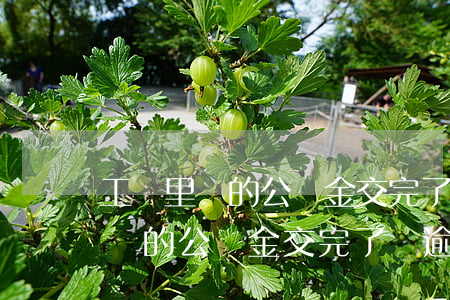 工廠里邊的公積金交完了會逾期嗎-工廠里邊的公積金交完了會逾期嗎怎么辦