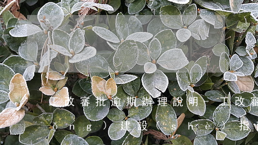工改審批逾期辦理說明-工改審批系統(tǒng)建設(shè)指南