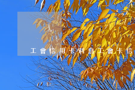 工會信用卡利息(工會卡信用卡收年費嗎?)