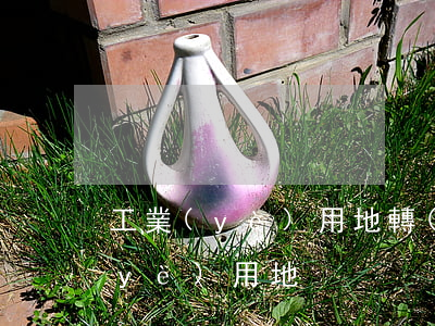 工業(yè)用地轉(zhuǎn)商業(yè)用地