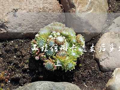 工程信用卡透支后多久還(信用卡透支多久必須還上)