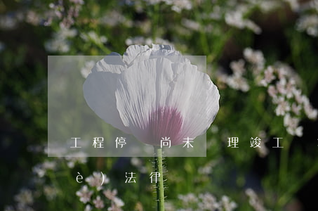 工程停滯尚未辦理竣工結算的施工企業(yè)法律風險