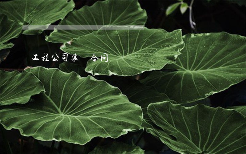工程公司集體合同