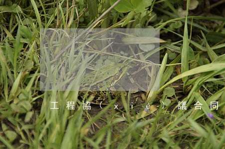工程協(xié)議合同糾紛怎么處理
