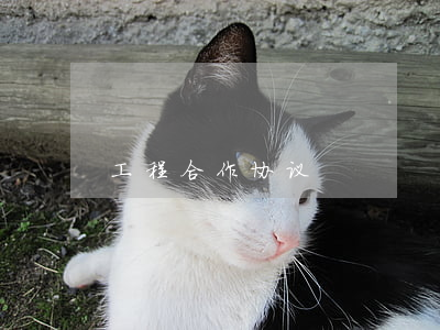 工程合作协议