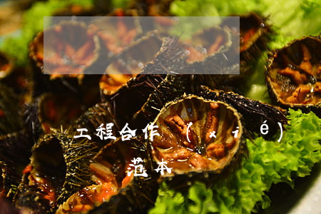 工程合作協(xié)議(工程協(xié)議書范本)
