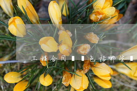 工程合同糾紛包括哪些內容