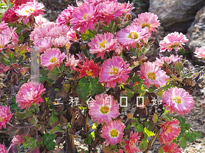 工程合同糾紛如何