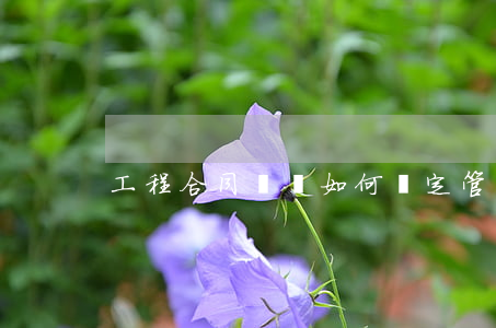 工程合同糾紛如何確定管轄