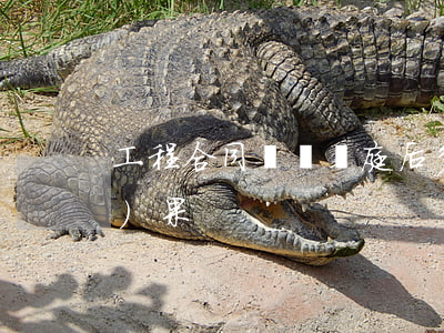 工程合同糾紛開庭后多久出判決結(jié)果