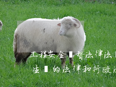 工程安全監督法律法規(我國建設工程安全生產的法律和行政法規有哪些)