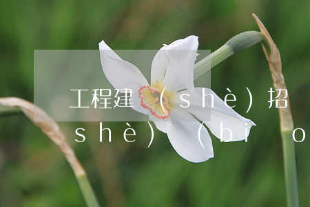 工程建設(shè)招標(biāo)設(shè)標(biāo)合同合同條件