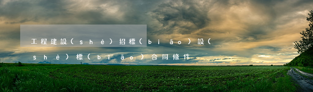 工程建設(shè)招標(biāo)設(shè)標(biāo)合同條件